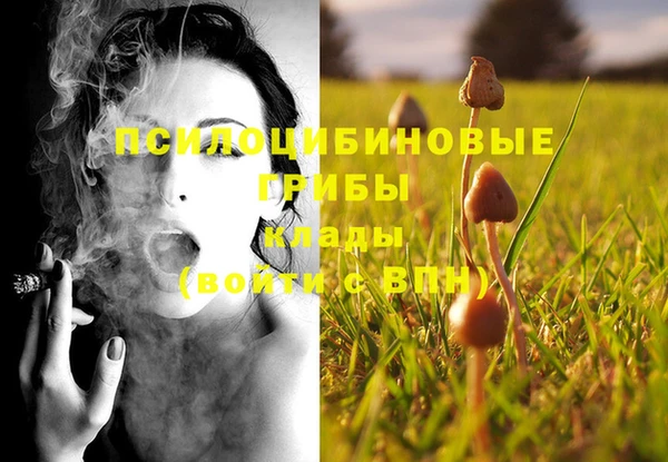СК Ладушкин