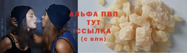 СК Ладушкин