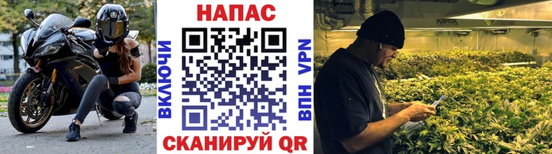 Марихуана семена  Вытегра 